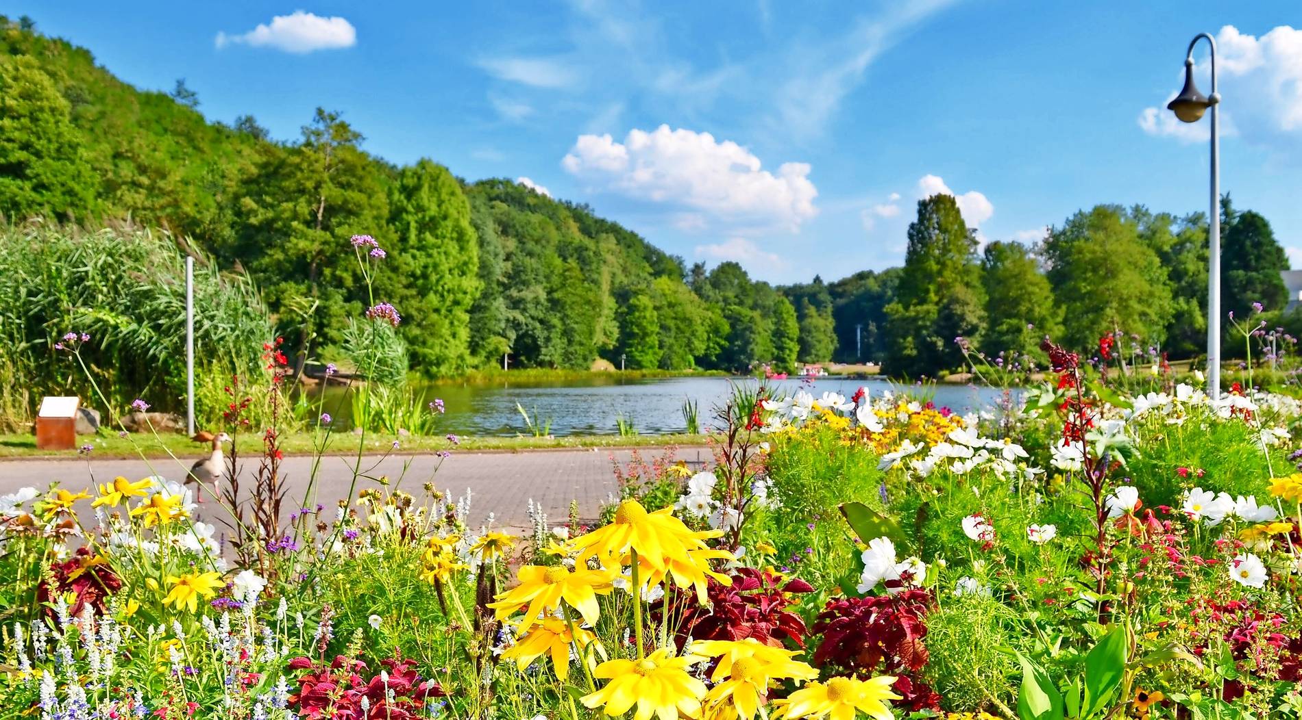 Deutsch-Französischer Garten